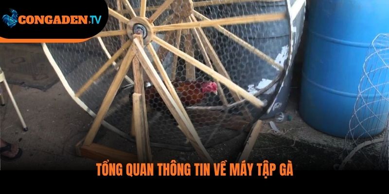 cách làm máy chạy gà chọi