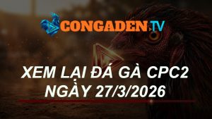 XEM LẠI ĐÁ GÀ CPC2 NGÀY 27/3/26