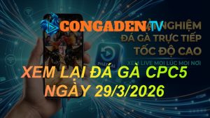 XEM LẠI ĐÁ GÀ CPC5 NGÀY 29/3/26