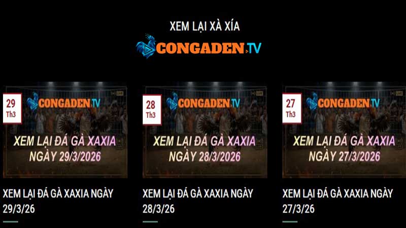 đá gà xà xía