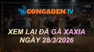 XEM LẠI ĐÁ GÀ XAXIA NGÀY 28/3/26