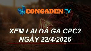 XEM LẠI ĐÁ GÀ CPC2 NGÀY 22/4/26