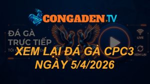 XEM LẠI ĐÁ GÀ CPC3 NGÀY 5/4/26