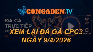 XEM LẠI ĐÁ GÀ CPC3 NGÀY 9/4/26