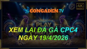 XEM LẠI ĐÁ GÀ CPC4 NGÀY 19/4/26