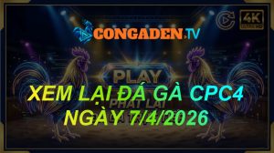 XEM LẠI ĐÁ GÀ CPC4 NGÀY 7/4/26