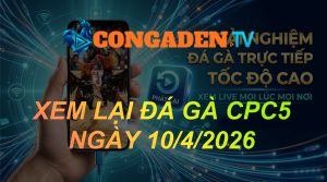 XEM LẠI ĐÁ GÀ CPC5 NGÀY 10/4/26