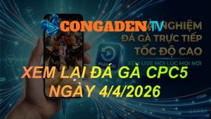 XEM LẠI ĐÁ GÀ CPC5 NGÀY 4/4/26