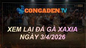 XEM LẠI ĐÁ GÀ XAXIA NGÀY 3/4/26