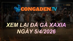 XEM LẠI ĐÁ GÀ XAXIA NGÀY 5/4/26